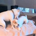 【話題】「３人で遊…