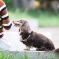 周りにいない？『迷…