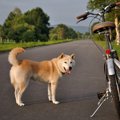 人のふり見て我がふ…