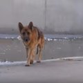 水路に閉じ込められ…