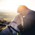がんの犬の遺伝子を…