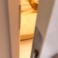 猫を保護して1ヶ月半…