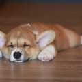 放っておいて大丈夫…