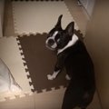 ど、どうしたの…？部…