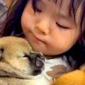 小さな女の子が『犬…
