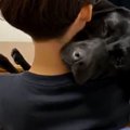抱っこされるとお眠…