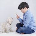 犬にしてはいけない…