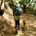 初夏の那須でアウト…