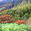 那須高原は犬も楽し…