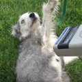 レスキュー動画で学…