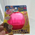 「ドギーマンIQステ…