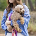 愛犬が抱っこされた…