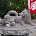 安産祈願を戌の日に…