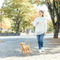 犬にとって危険な『…