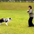 『めっちゃ痛そうで…