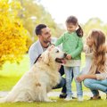 犬が「夫婦円満」を…