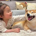 ハイハイをする1歳の…