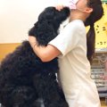 動物病院を『キャバ…