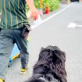 『クロネコヤマト配…