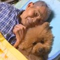 『約４ヵ月前に亡く…
