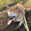 「最高！」土遊びを…