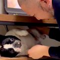 テレビ台の中に隠れ…
