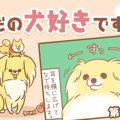 ただの犬好きです。…