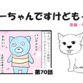 ちーちゃんですけど…