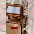 「楽ちん♪」な水の飲…