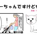 ちーちゃんですけど…