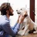 犬の脳は知らない言…