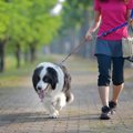 犬にとってあまり良…