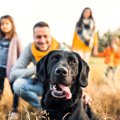 愛犬と楽しく『スト…