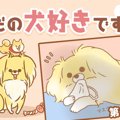 ただの犬好きです。…