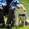 「身体障碍者補助犬…