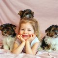 【大きさ別】犬の人…