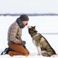 犬の家畜化について…