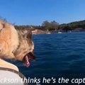 元保護犬、大海原へ…