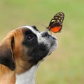 季節が春から夏に変…