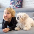 犬がしがちな『人間…