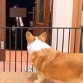 『東京で就職した息…