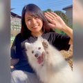 犬に『ダンス』を教…