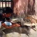 ひどい皮膚病でボロ…