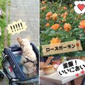 愛犬と一緒に軽井沢♡…