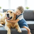 犬が「人の子供」を…