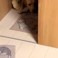 深夜、明日の遠足が…