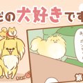 ただの犬好きです。…