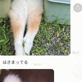 娘から突然のLINE…送…