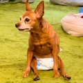 4年前から歩けなくな…