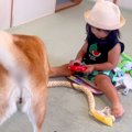 ソリで遊ぶ2歳の女の…